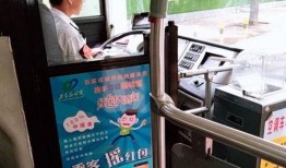 石家庄公交最新爆料,最新爆料揭示线路调整与优化