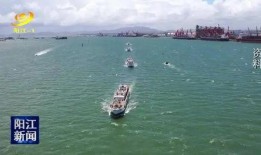 阳江今日爆料新闻最新消息,重大事件引发社会关注