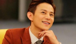 何炅王菁最新爆料,揭秘娱乐圈背后的惊人真相！